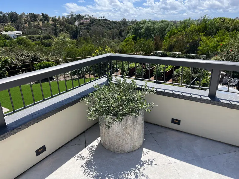 An olive tree in a stone planter above the canyon