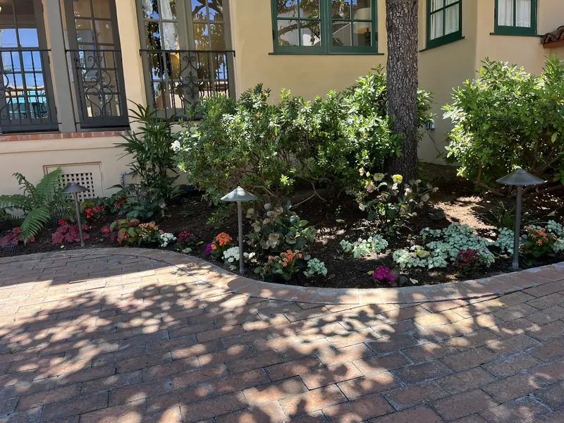 A curved bed along a brick terrace