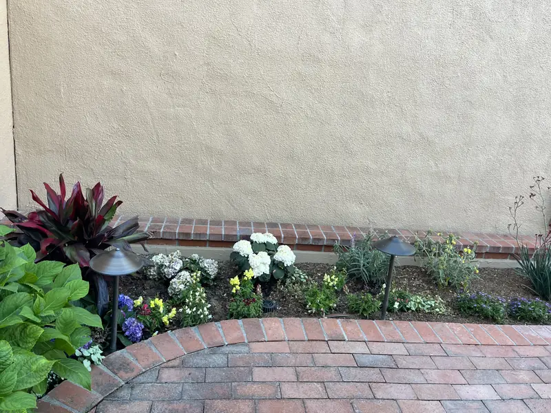 Cordyline and white blooms along a stucco wall