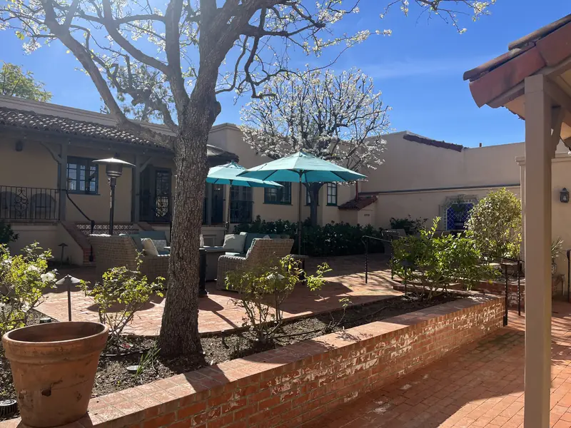 A brick courtyard terrace with terracotta pots, a shade tree and teal umbrellas