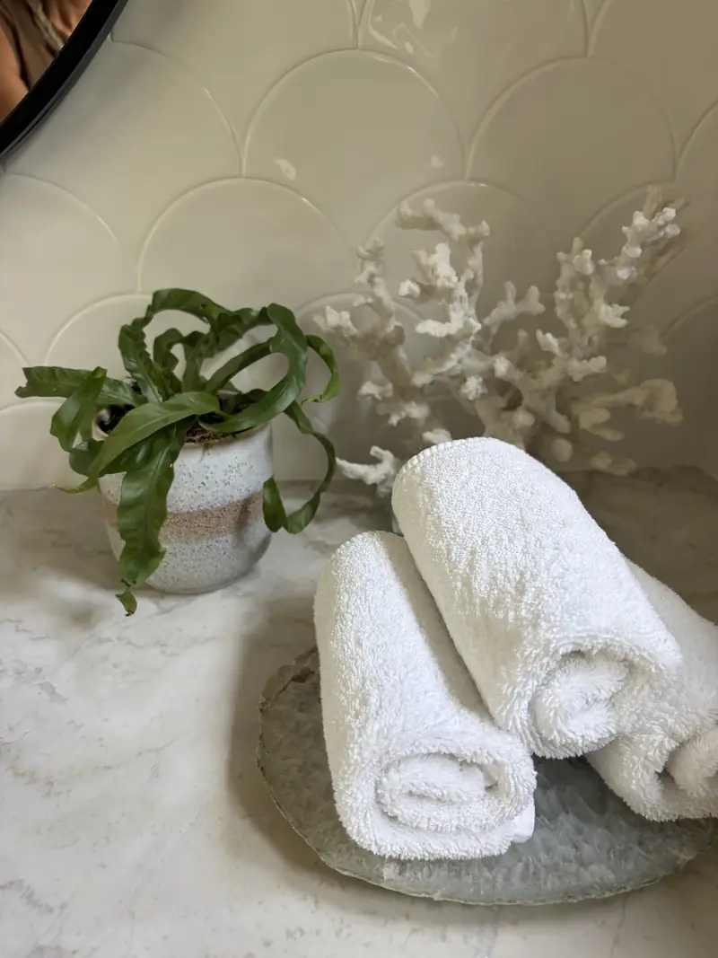 A fern on a bathroom vanity