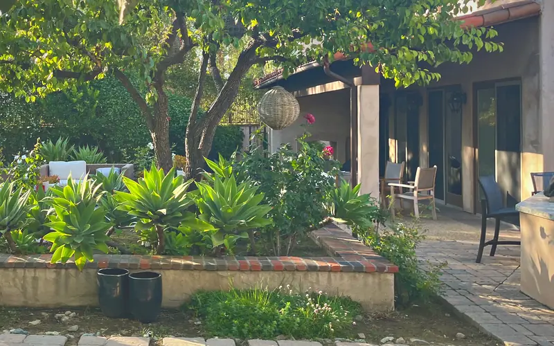 Agaves in a raised garden bed on a terrace, with a lantern in the trees and late afternoon light on the house