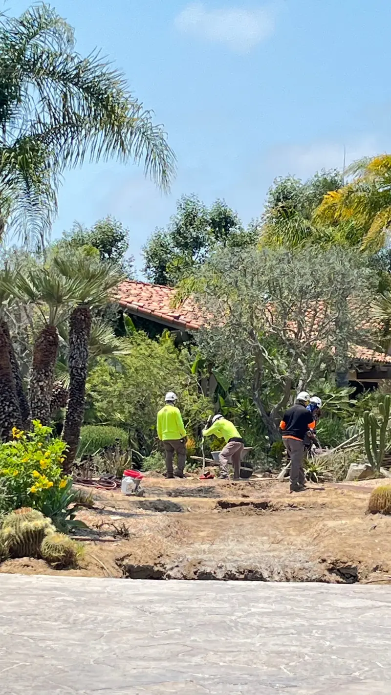 Grading a slope before planting