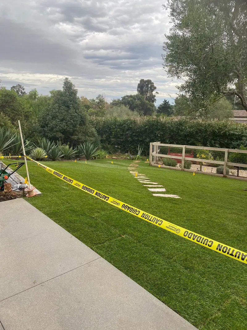 New sod settling in behind caution tape