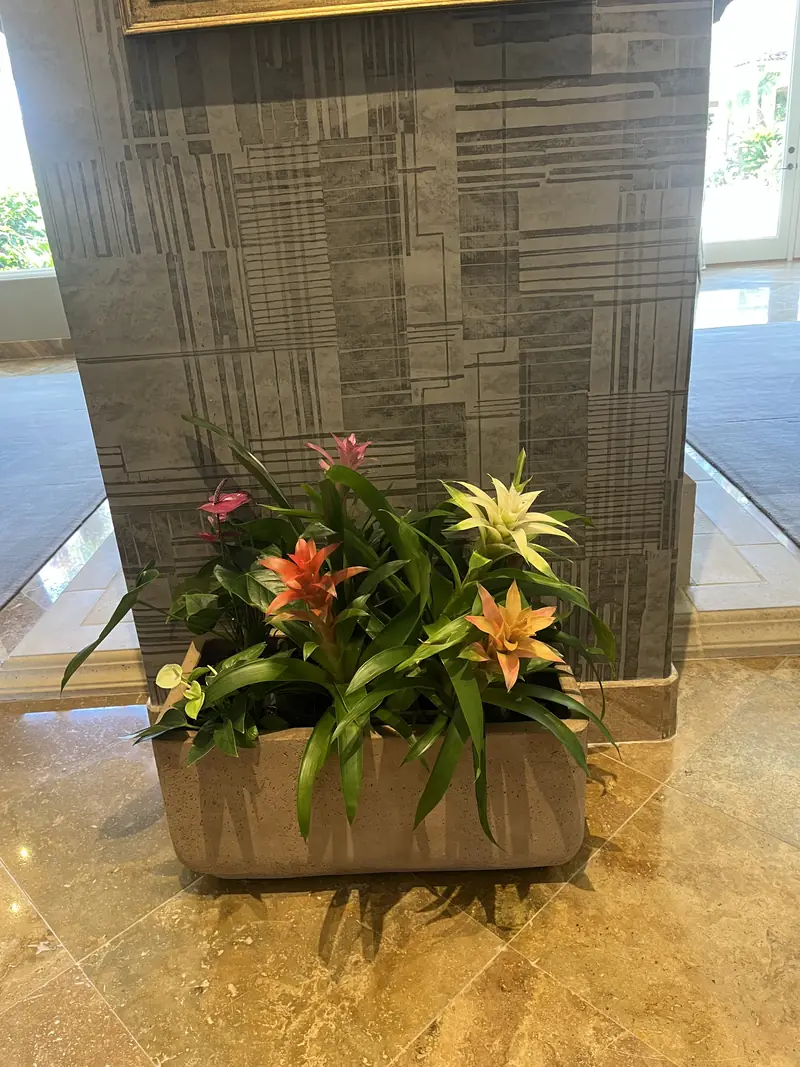 A trough of bromeliads beside a stone column
