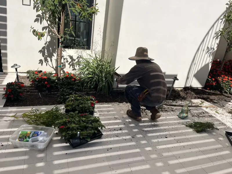 Planting a new bed from flats