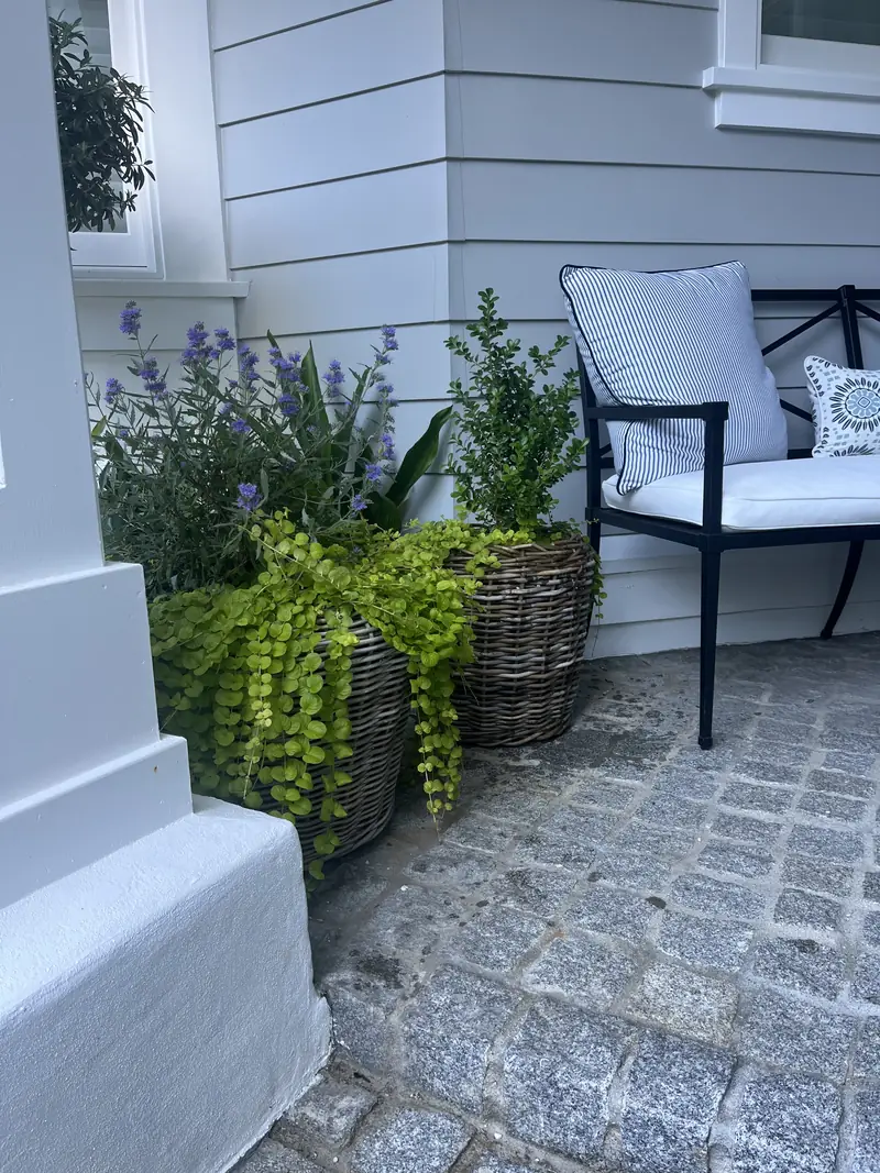Woven baskets of lavender and trailing greens on a porch
