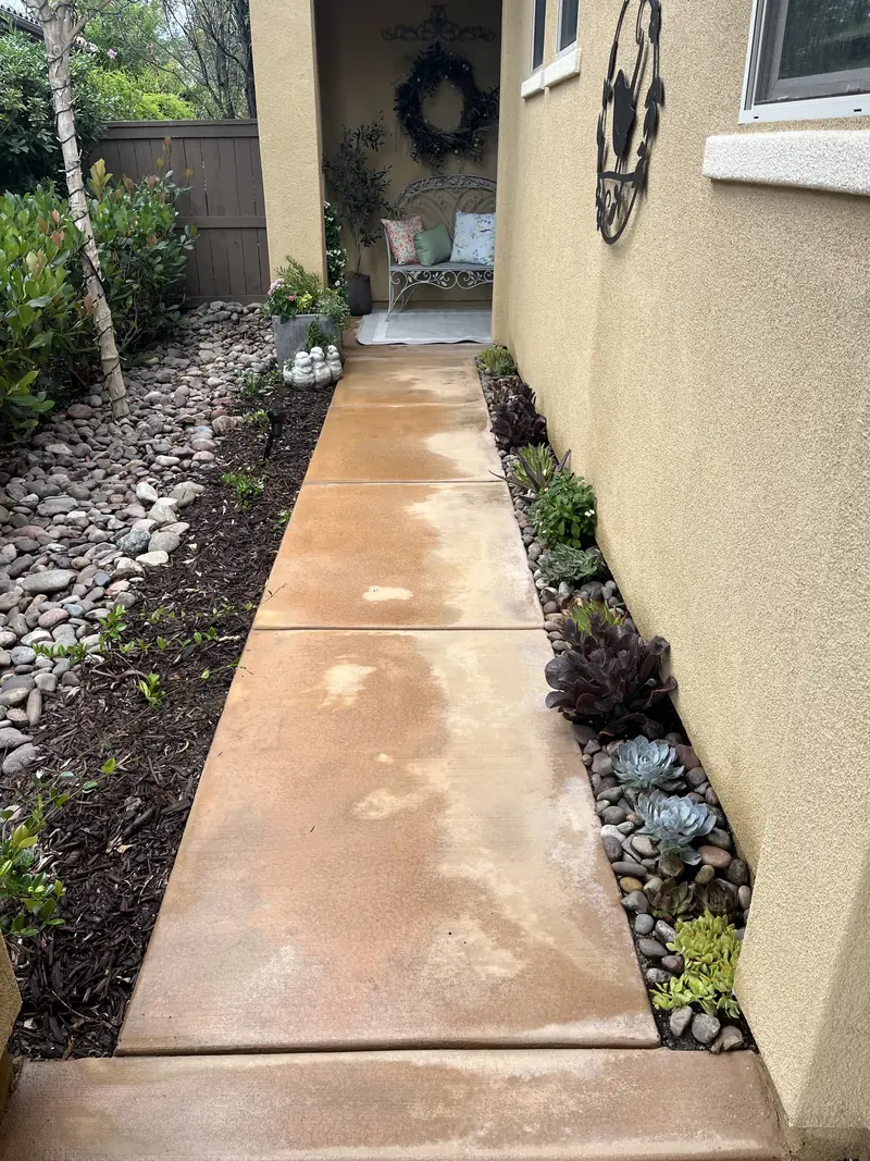 A planted side yard along a concrete path