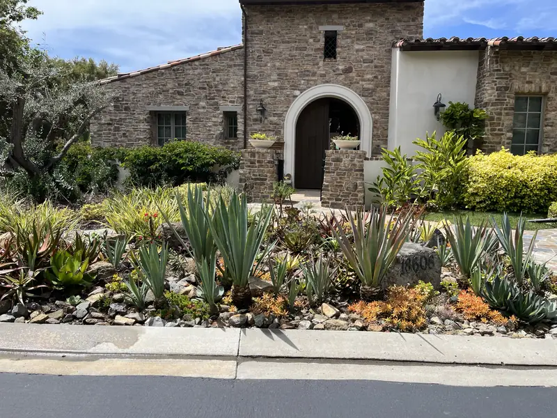 Agaves and succulents, which like to dry out between waterings