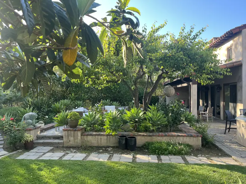 Raised beds and lawn below a terrace