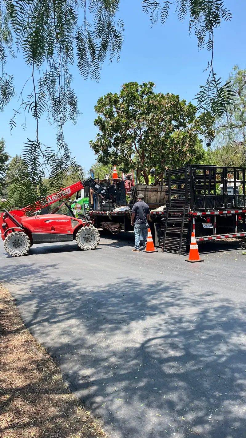 A tree arriving on a flatbed