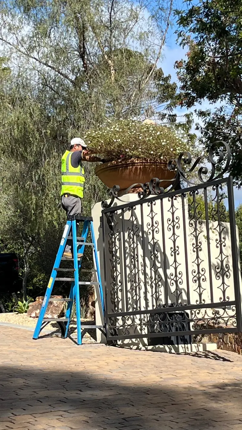 Refreshing a flower urn on a gate pier